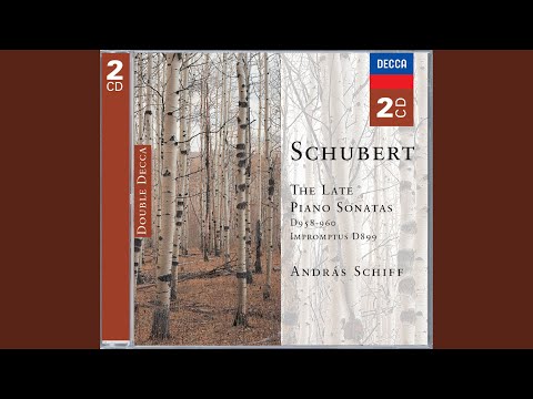 Schubert: Piano Sonata No. 20 in A, D.959 - 1. Allegro