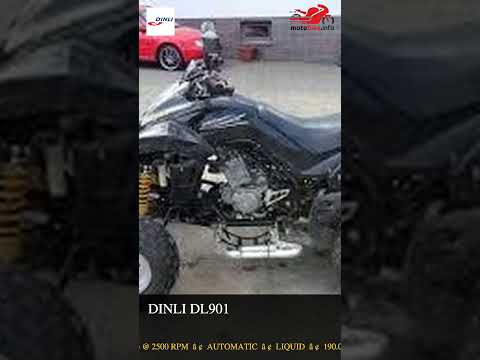 Dinli DL 901 - Video 1