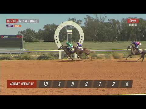 Live Hippodrome « MEKNES » | Courses du « 15/06/2023 »