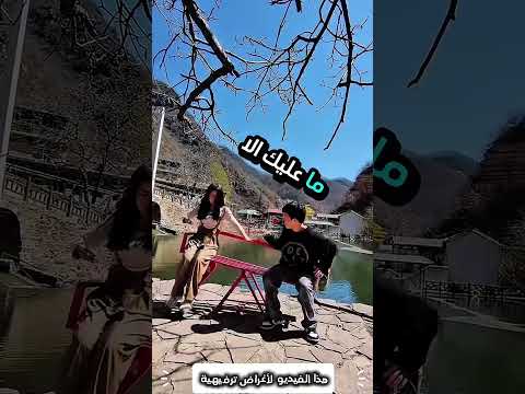 جلس على اغرب كرس#قصص_واقعية