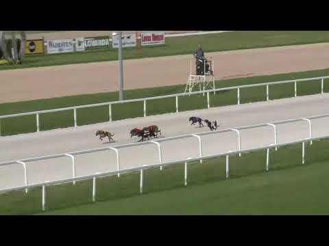 2018.06.24. 9. futam - Agár futam