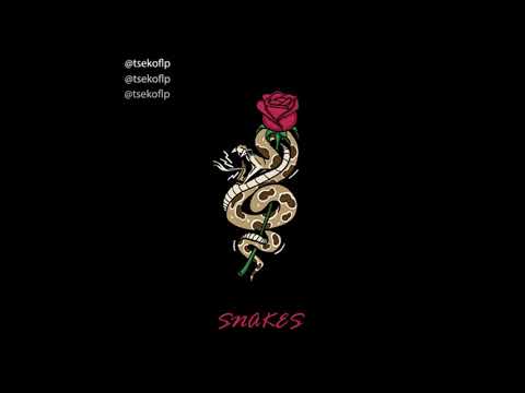 [10+] [FREE] Emotional Guitar/Vocal Loop kit - "Snakes" - (,NBA Youngboy, Toosii, Polo G, Rylo,etc )