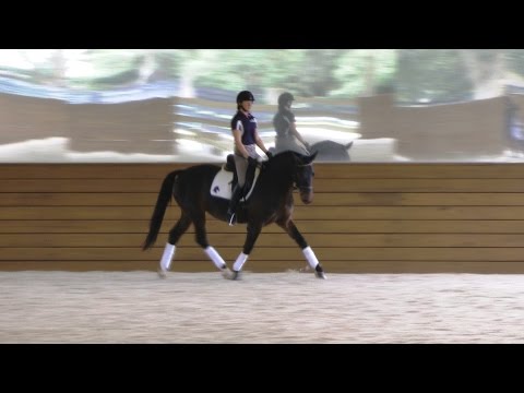 Hailey ISF at Iron Spring South - Winter 2016 - SOLD