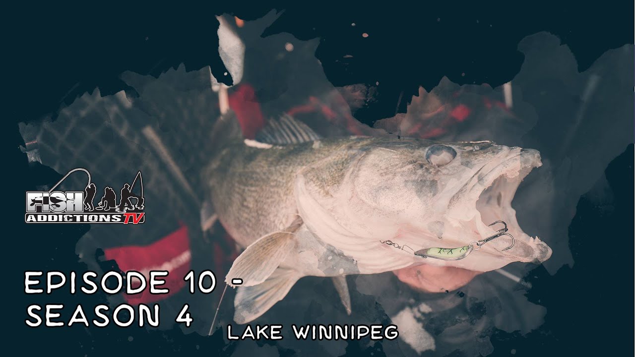GIANT TROPHY WALLEYES - S.4 Ep.10 (Lake Winnipeg)