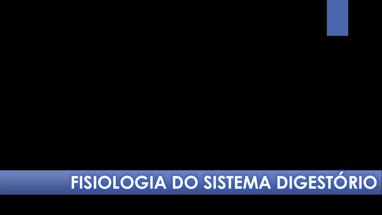 Aula: absorção dos nutrientes orgânicos (21/09)