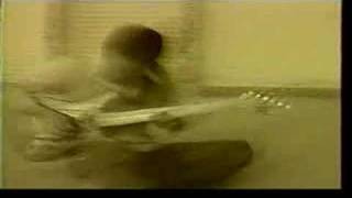 sinfonia de cuna-chancho en piedra