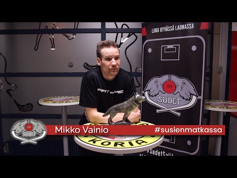Mikko Vainio | Sudet Salibandy Kouvola