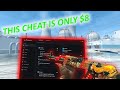 THIS CS2 CHEAT IS ONLY $8 | FT. Midnight.im