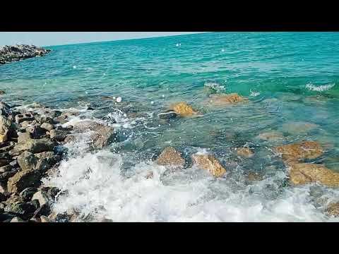 "Experience the breathtaking beauty of the UAE's stunning beaches in this mesmerizing video! 🏖️🌊 Let