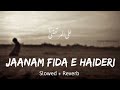 Jaanam Fida E Haideri Slowed Reverb Sadiq Hussain