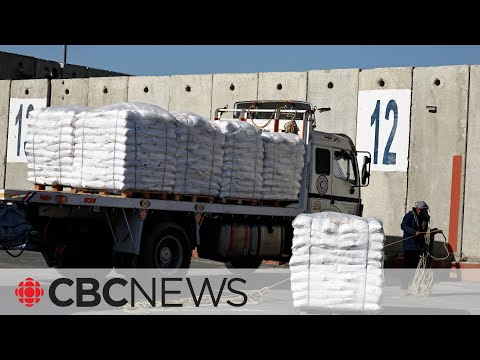 Hundreds of aid trucks enter southern Gaza through alternate Israeli crossing