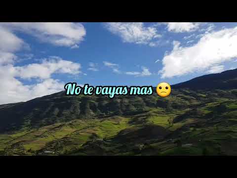 quédate a mi lado_ letra_ primicia 2023 _ alimides machuca exitos de oro