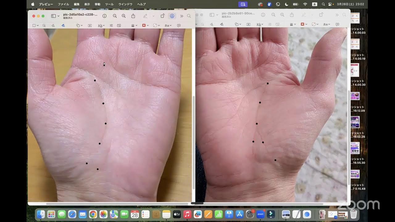 20260328ライブ手相鑑定