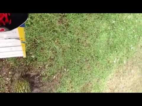 Jumping off a ladder