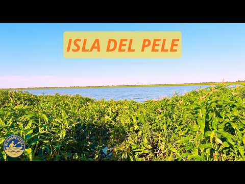 Travesía en Kayak - Laguna de la Isla del Pele - San Lorenzo, Santa Fe - RemoAventura