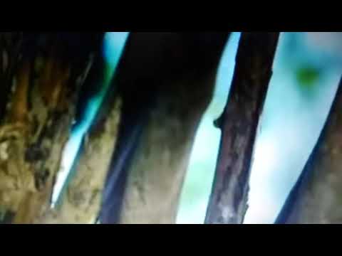 Nihan seni cok seviurum ♥️😘😍😍