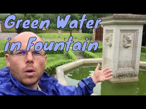 How to clear green water in a fountain | Any Pond...