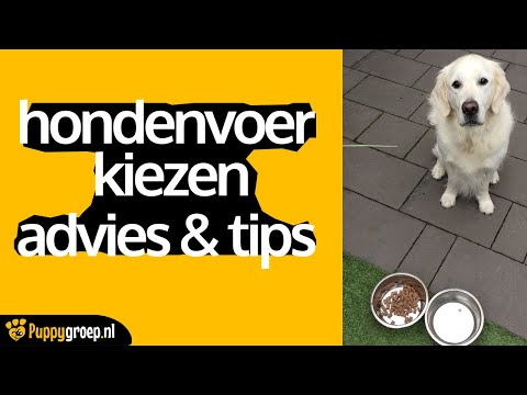 download lagu mp3 mp4 Hondenvoer, download lagu Hondenvoer gratis, unduh video klip Hondenvoer