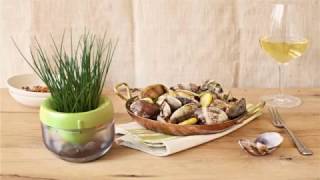 Modern Hydroponics Systems for Kitchen Gardens