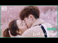 🦄ممتن لكرة الثلج | الفتاة ذات الدرع الحلقة 24 | iQiyi Arabic