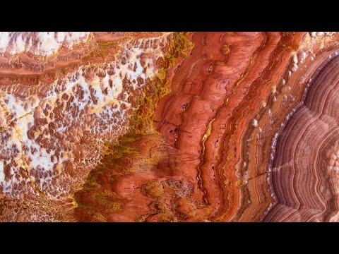 Should I panic if I have blood in my stool?