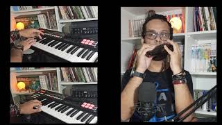 Spancil Hill - The Corrs (Cover)