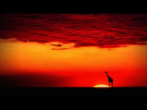 Feel It - Afro Tek - Afrotastic, Vol.1 (A Collection of Tribal Percussive House Tunes)