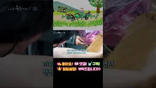 (예고_208회) 소 키우는 신세대 농부! 승우 씨 이야기