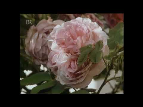 Unter unserem Himmel: Historische Gärten in Schwaben Doku (1990)