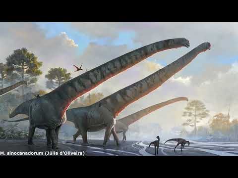 Rise of the Titans: Examining the Early Evolution of Sauropods