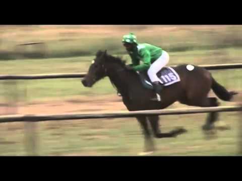 Lot 115 | Fake Empire