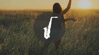 Carly Rae Jepsen - Run away with me [REMIX] //seal playing saxophone VINE