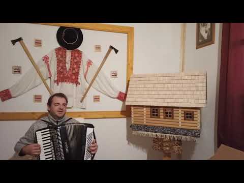 Ján Timko - Veď je lastovička pekný vták