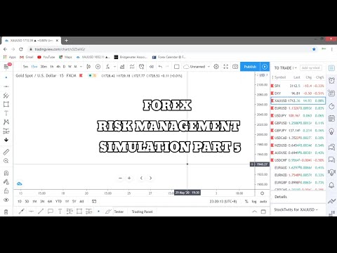 FOREX RISK MANAGEMENT SIMULATION PART 5