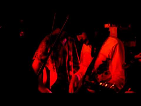 Elephant 6 Holiday Surprise Tour Show The Southern Charlottesville VA March 25 2011