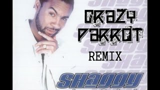 Shaggy - Dance and Shout ( Crazy Parrot Remix )