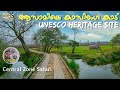 Forest Safari In Central Zone Of Kaziranga Wildlife In Assam