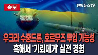 [????속보] 기뢰제거용 우크라 수중드론, 호르무즈 해협 투입 가능성…흑해 실전 경험 반영된 TLK-150 소형 드론 지목 / 연합뉴스TV(YonhapnewsTV)