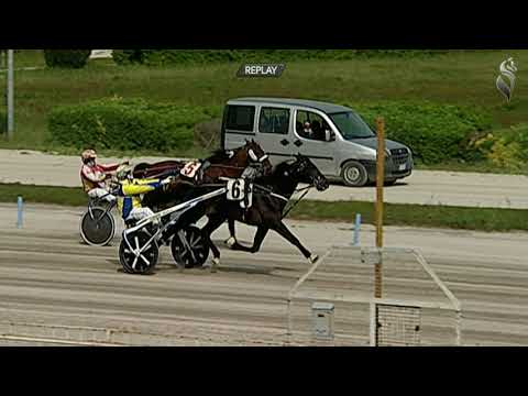 Aversa trotto 7 Aprile 2021 - 3° Corsa
