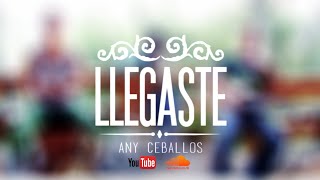 Llegaste - Any Ceballos @anyceballos15