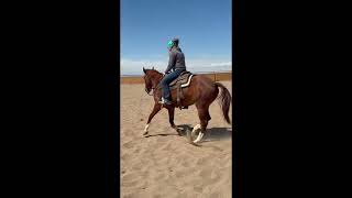 Video 1