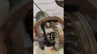 Differential working | Automotive differential housing working model | Rear axle housing Crown wheel