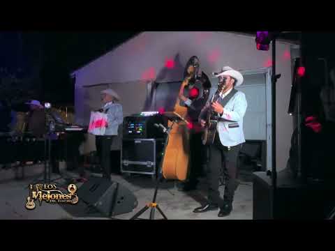 Caminos De Michoacan & El Tarasco - Los Viejones Del Rancho - Tuba Y Tololoche