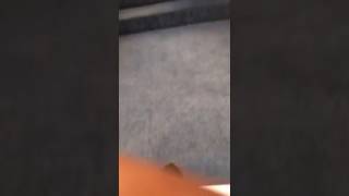 Reagan sings Hallelujah