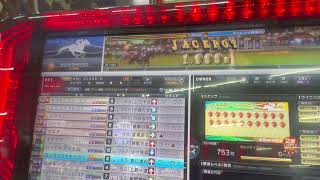 スタホ４　発動馬記録　ゴリゴリゴウモウガニ＃40.41戦目