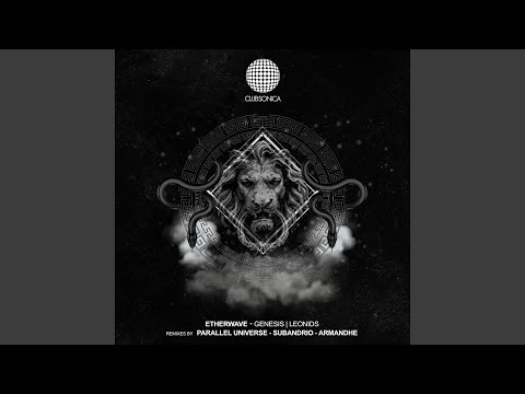 Leonids (Armandhe Remix)