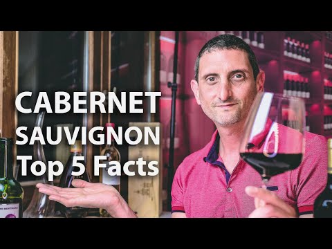 Alles, was Sie über Cabernet Sauvignon-Wein wissen müssen