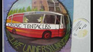 Ozric Tentacles - Dots Thots (live 1991).wmv