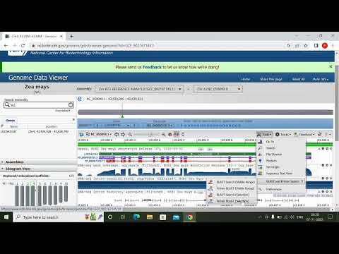 NCBI genome browser