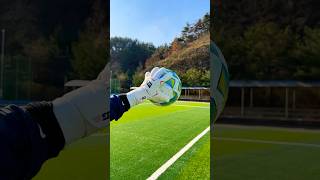 세계몸값1위 골키퍼 다비드 라야장갑ㄷㄷ